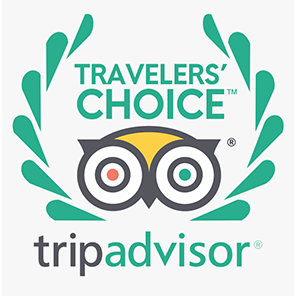 trip advisor travellers choice award icon